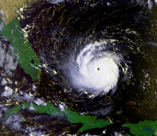Hurricane insurance coverage